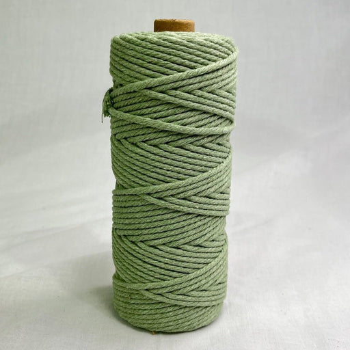 3mm Macrame Cotton Cord Soft Green 100mtr roll - Harry & Wilma