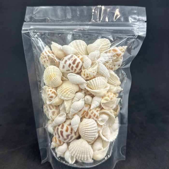 Premuim White Shell Mix Assortment No Hole 150g - Harry & Wilma